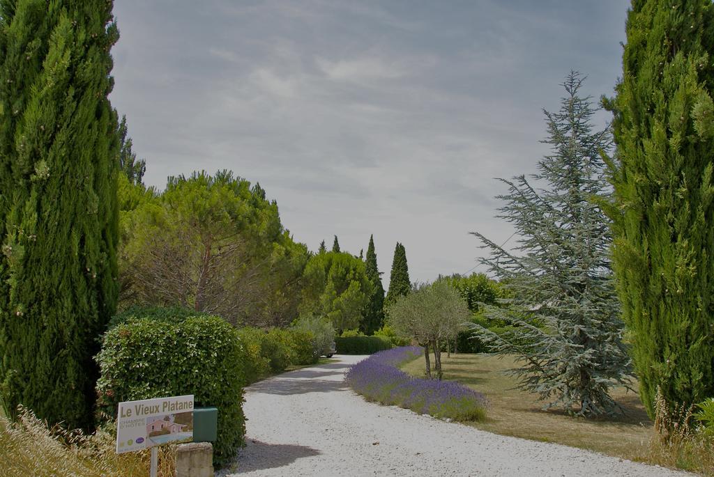 Hotel Le Vieux Platane Cairanne Zewnętrze zdjęcie